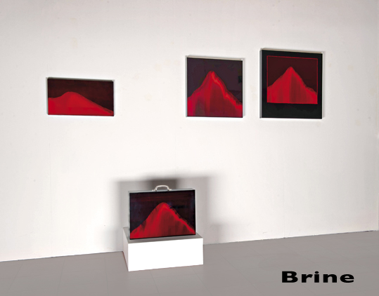 Brine _ 1999-2001 _ verie misureW.jpg